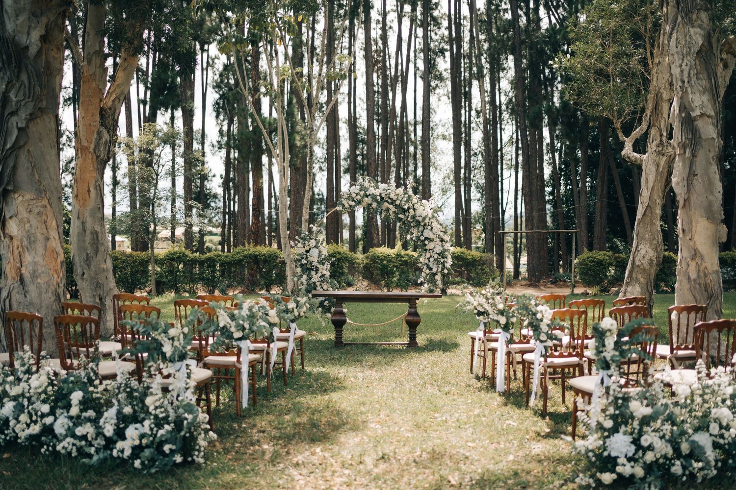 Cenário da cerimônia de Paola e Chris na Fazenda Vintém, com árvores, cadeiras de madeira e flores claras em Santa Rita do Sapucaí.
