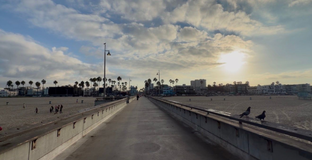 Scenic Venice Beach pier walkway at sunset with palm trees, cloudy sky, and beachgoers along the California coastline.