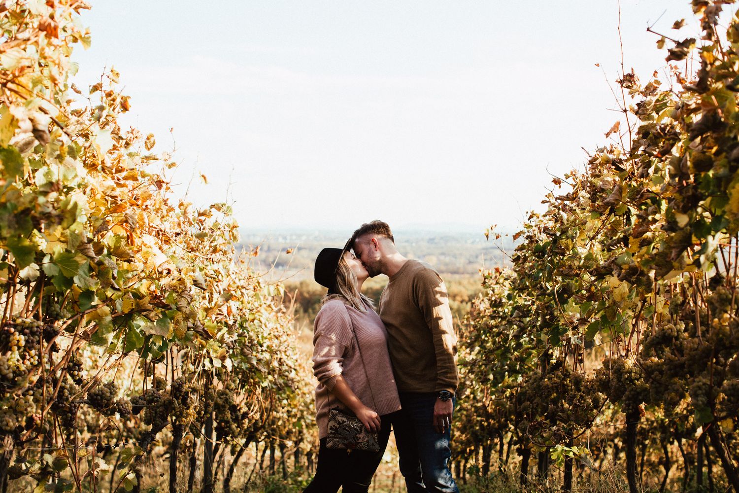Couple sharing a romantic kiss between rows of colorful autumn vineyard vines.