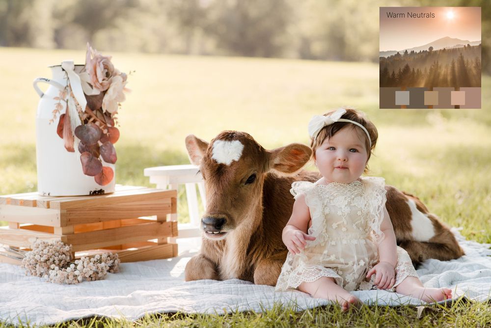 Choosing Clothing Colors Trish Graves Photography