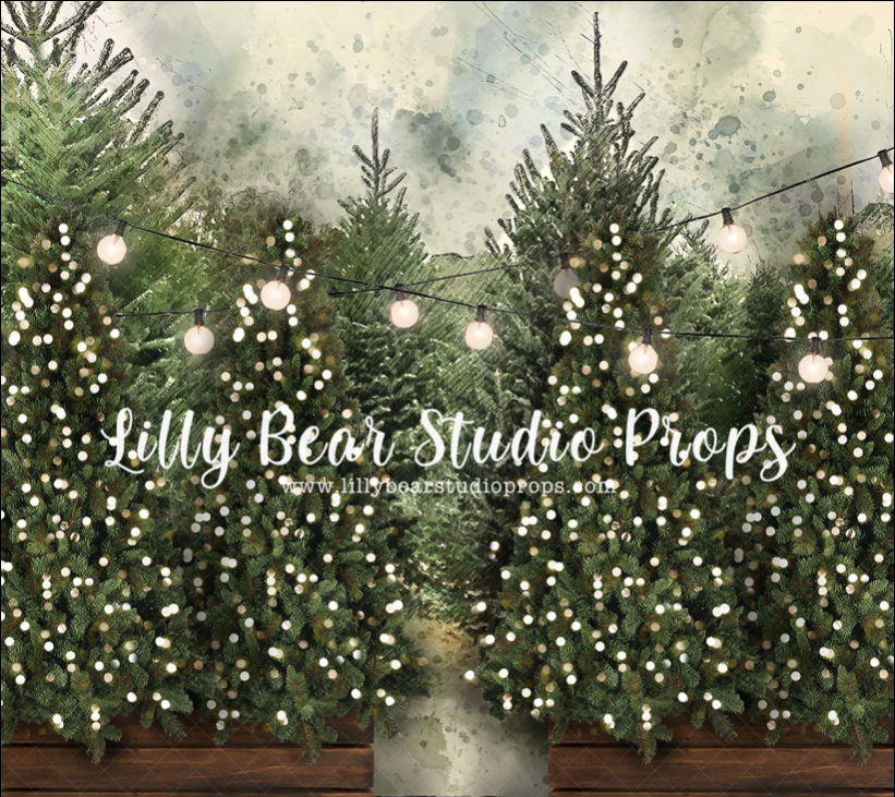 Christmas Mini Sessions 2023 - Smile On Photography Milton Ontario. Newborn Photography Milton