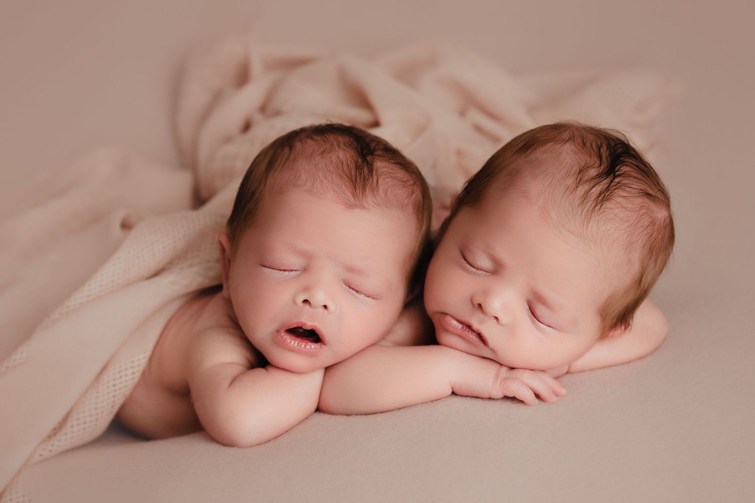 twin baby photoshoot tampa florida