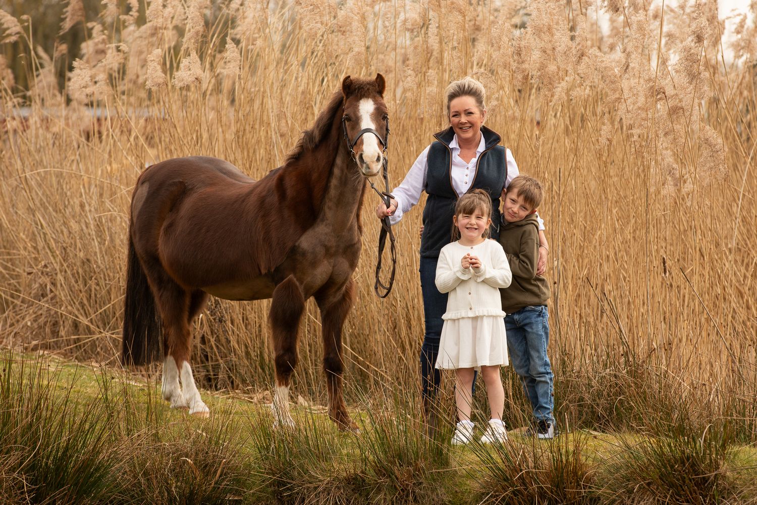 A brown horse stands in tall grass near people in outdoor autumn setting.