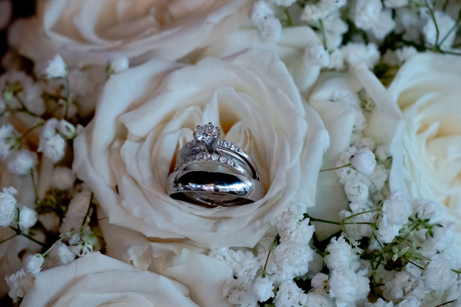 Delicate white roses and baby's breath create elegant wedding bouquet arrangement.