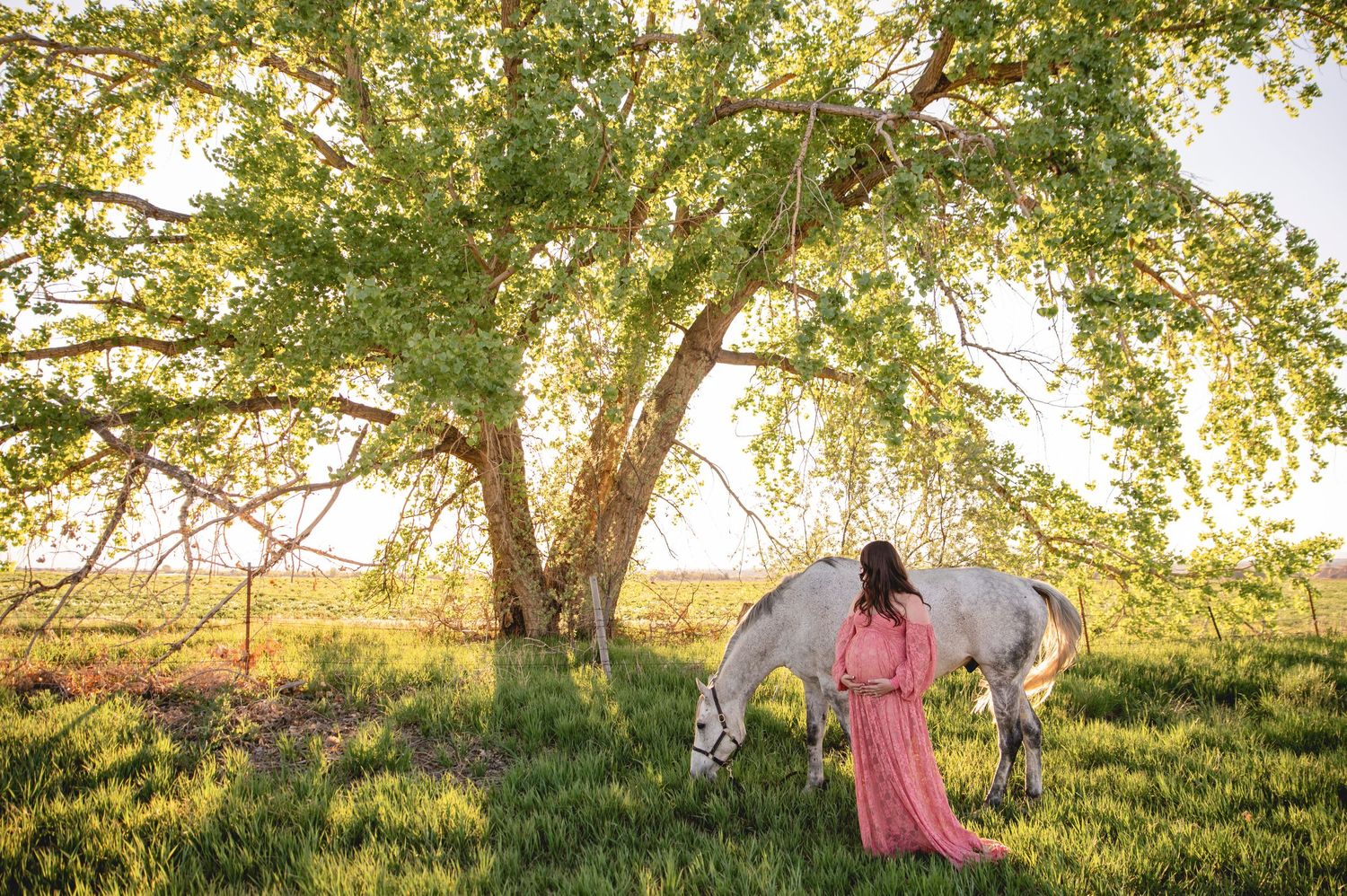 A woman in a flowing pink dress stands near a white horse grazing under a large tree at sunset in a pastoral field.