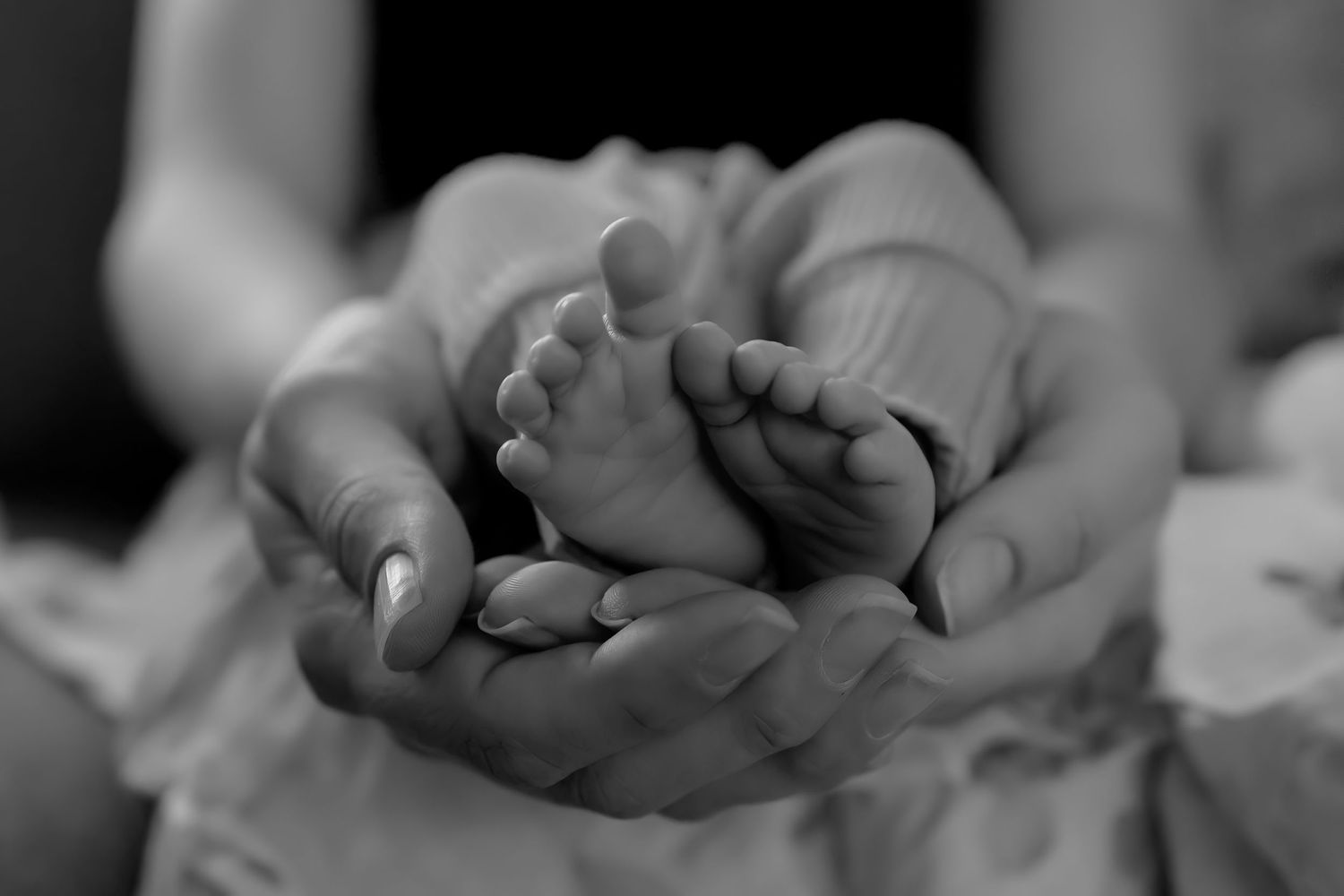 Close up of newborn feet cupped in an adults hands.  Black and white image.