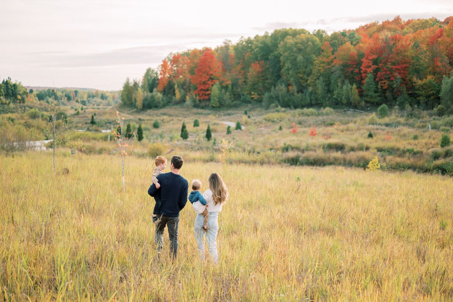 Couple walking through golden autumn field with fall foliage in background.