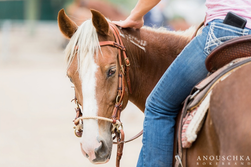 Clothing store tips for your equine shoot Equine, dog & wedding