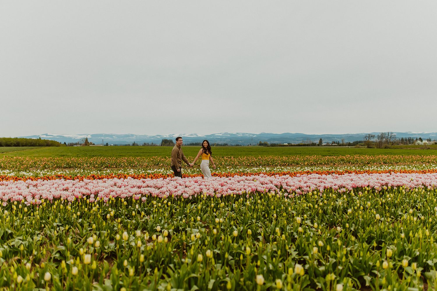 Panoramic view of colorful flower fields stretching to the horizon.