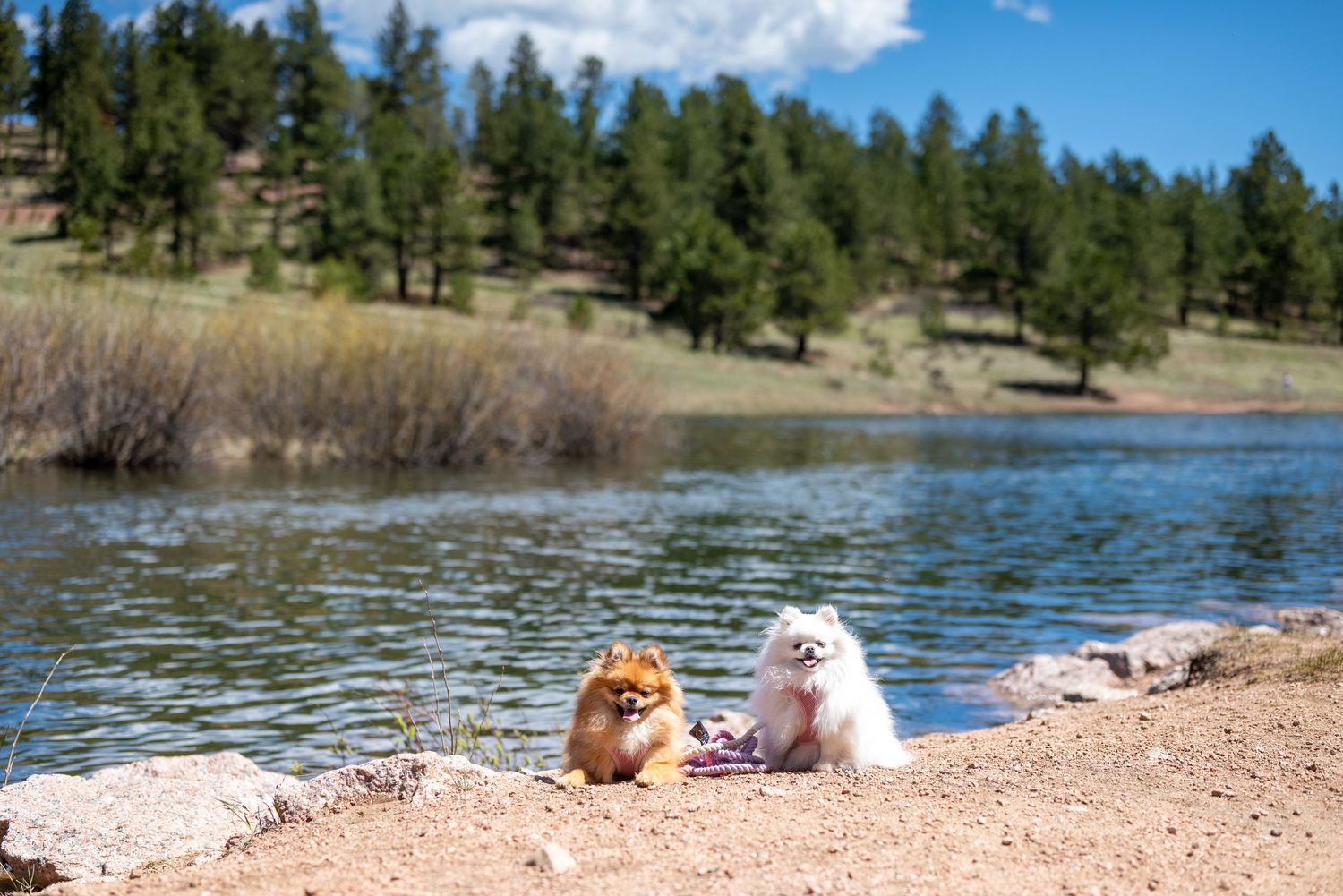 Family photos at Rampart Reservoir
