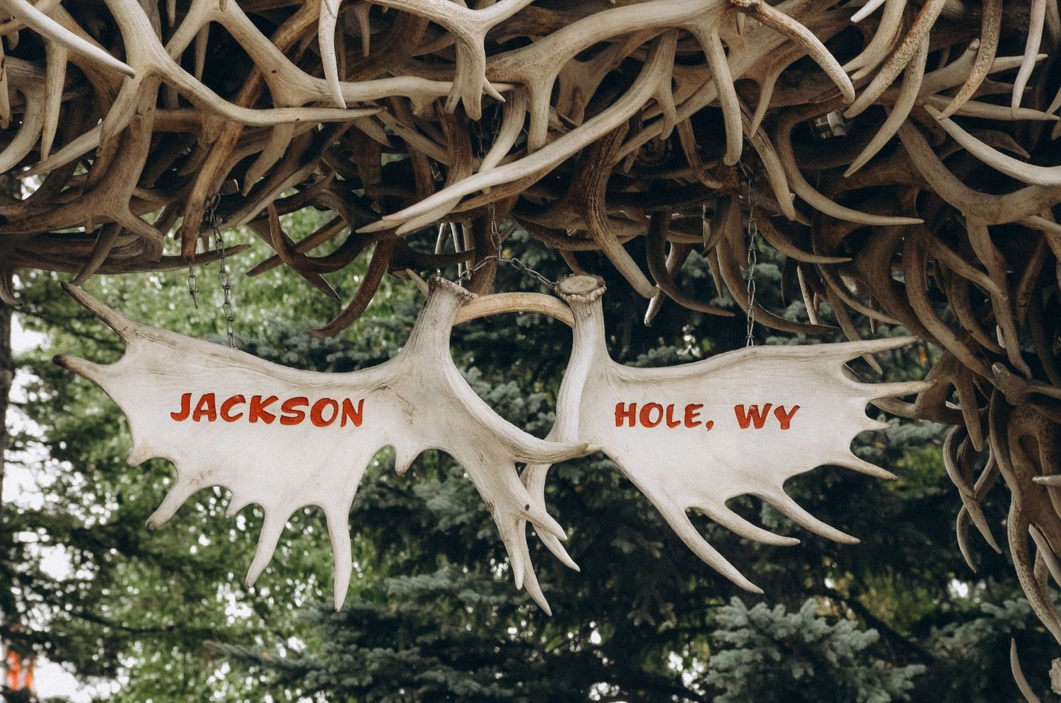 exciting activities in Jackson Hole