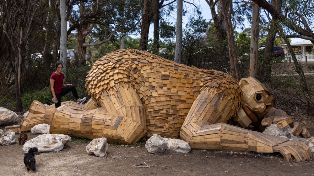 Mandurah Giants CJ Photo