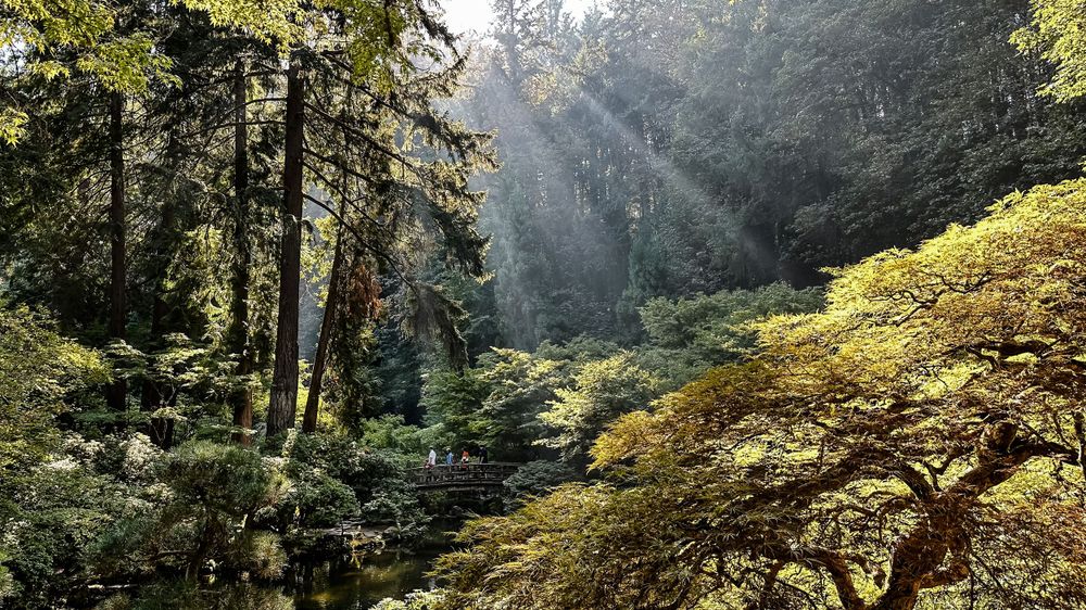 Maintaining Work-Life Balance as a Photographer After Giving Up a ...