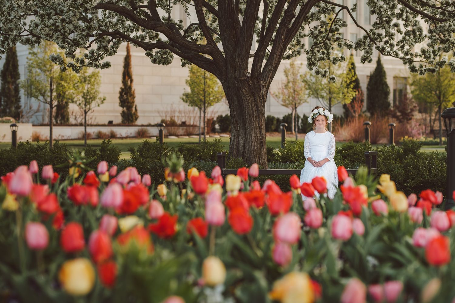 LDS baptism girl temple Ogden Utah spring Kaysville photographer 8 year old eight