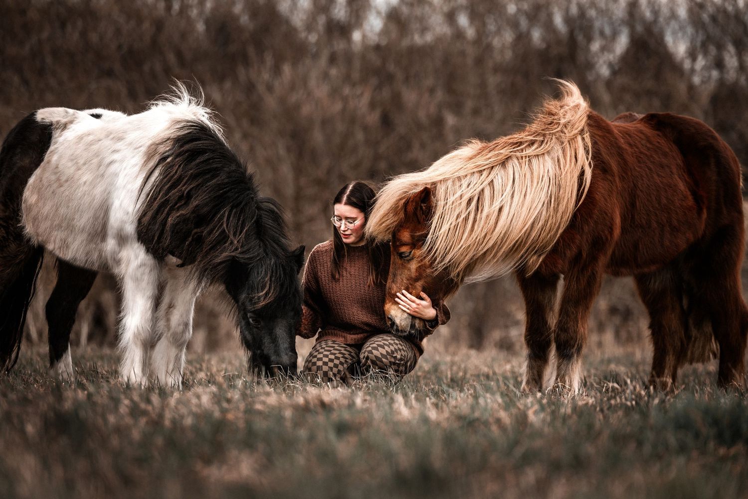 Two horses, one white and one brown, share a tender moment with someone in a rustic outdoor setting.