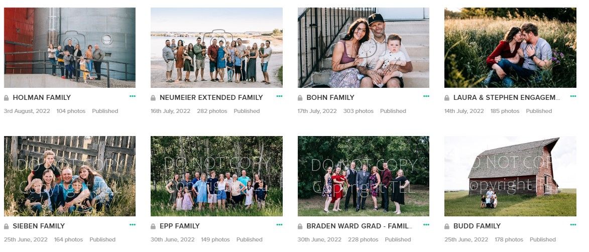 Photography studio client gallery grid displaying multiple professional family portrait session thumbnails.