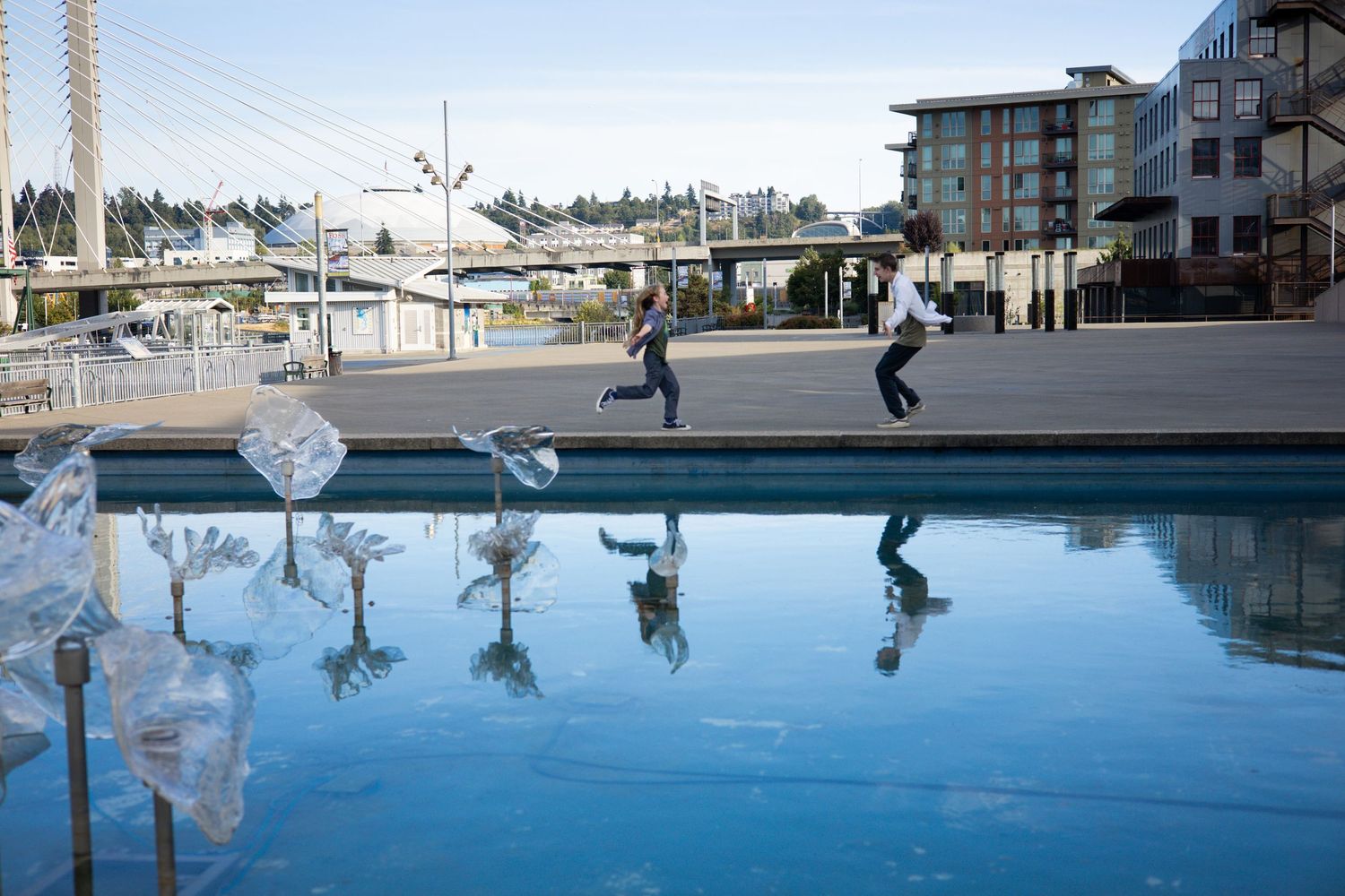 Reflective pool with palm trees and buildings creating mirror images on the blue water surface.