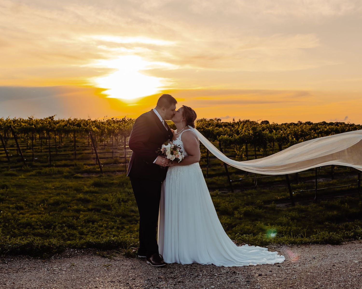 Beautiful wedding moment captured at sunset in a vineyard with flowing white dress veil and golden sky.