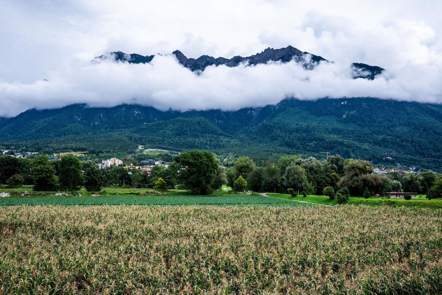 A panoramic view of misty mountains and green agricultural fields stretching across the landscape.