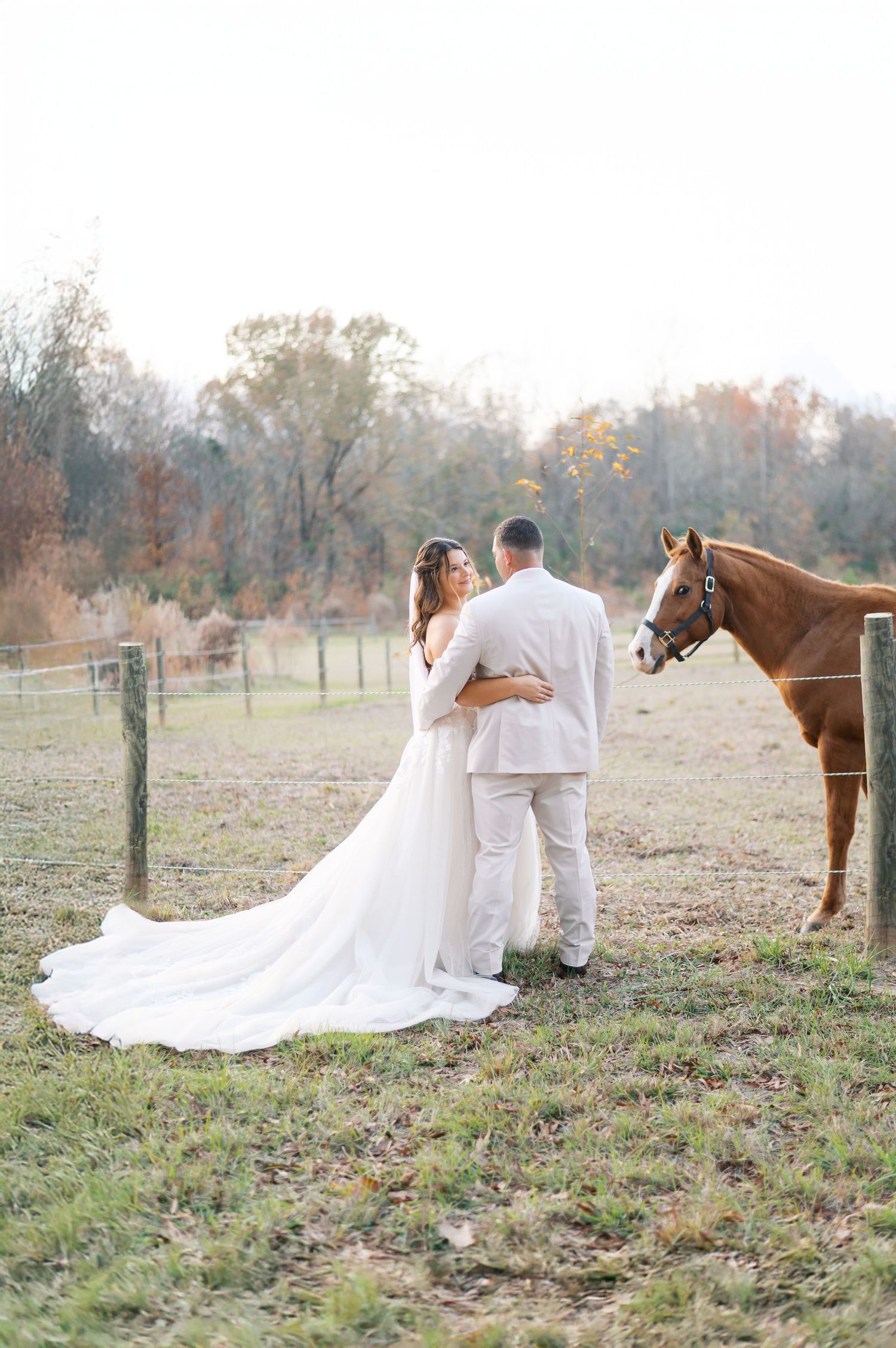 A couple in wedding attire shares romantic moments in a field with horses during a rustic outdoor photoshoot.