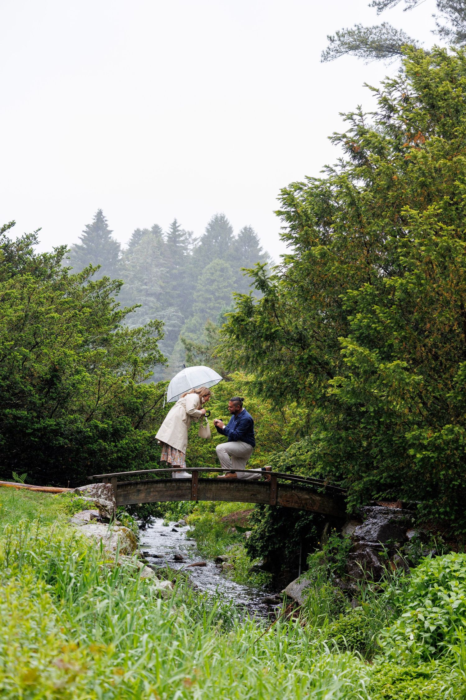 Couple sharing a romantic moment on a wooden bridge in a lush green garden on a rainy day with a clear umbrella.