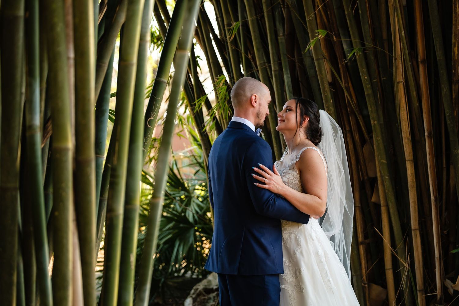A newly married couple embraces for a kiss in a bamboo garden at the Baughman Center in Gainesville, FL.