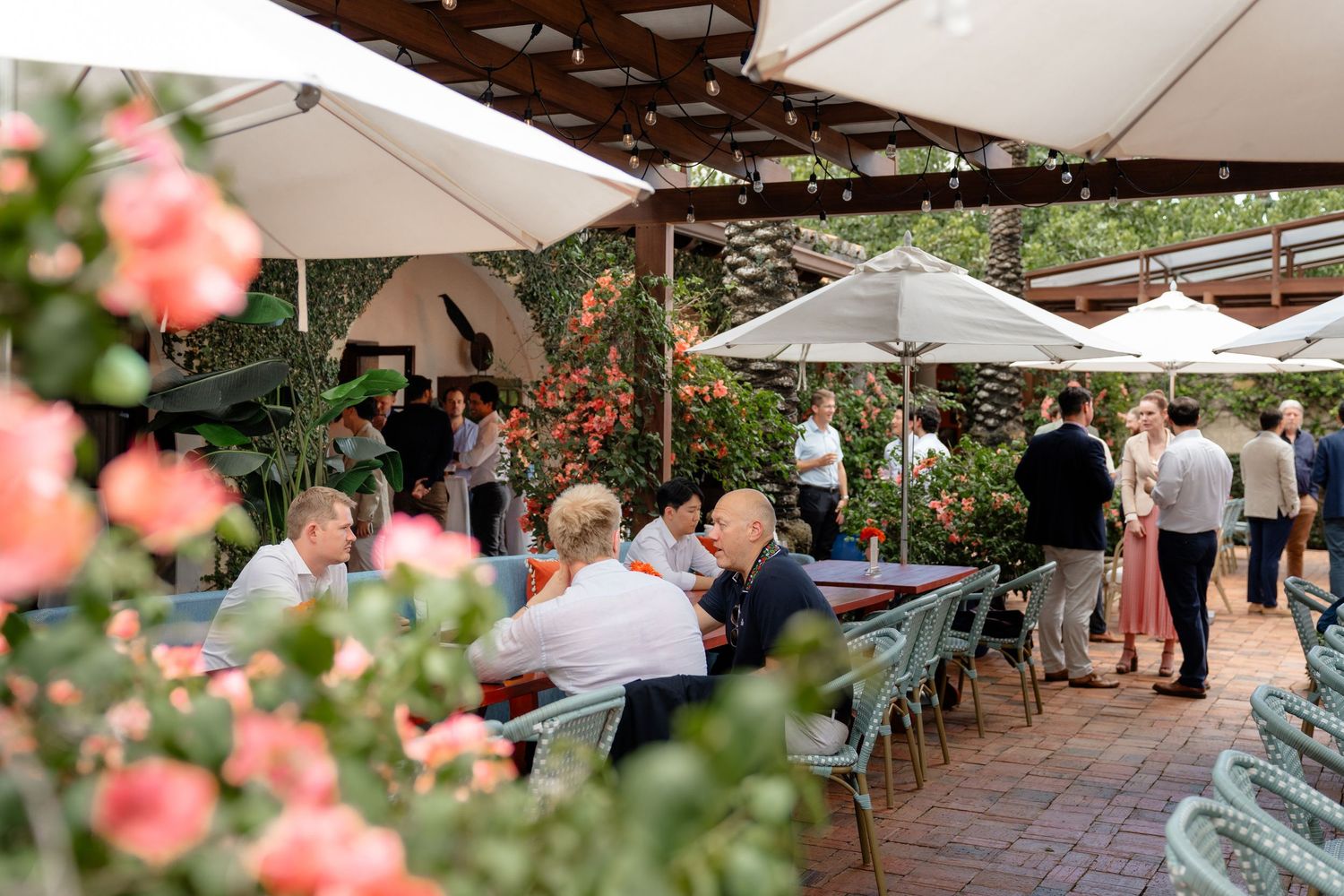 Guests dining al fresco on a sunlit patio surrounded by blooming pink roses and white umbrellas.