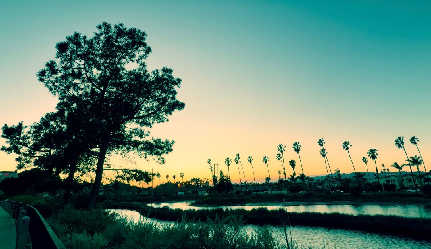 Silhouetted palm trees and vegetation against a vibrant turquoise and orange sunset sky over the ocean.