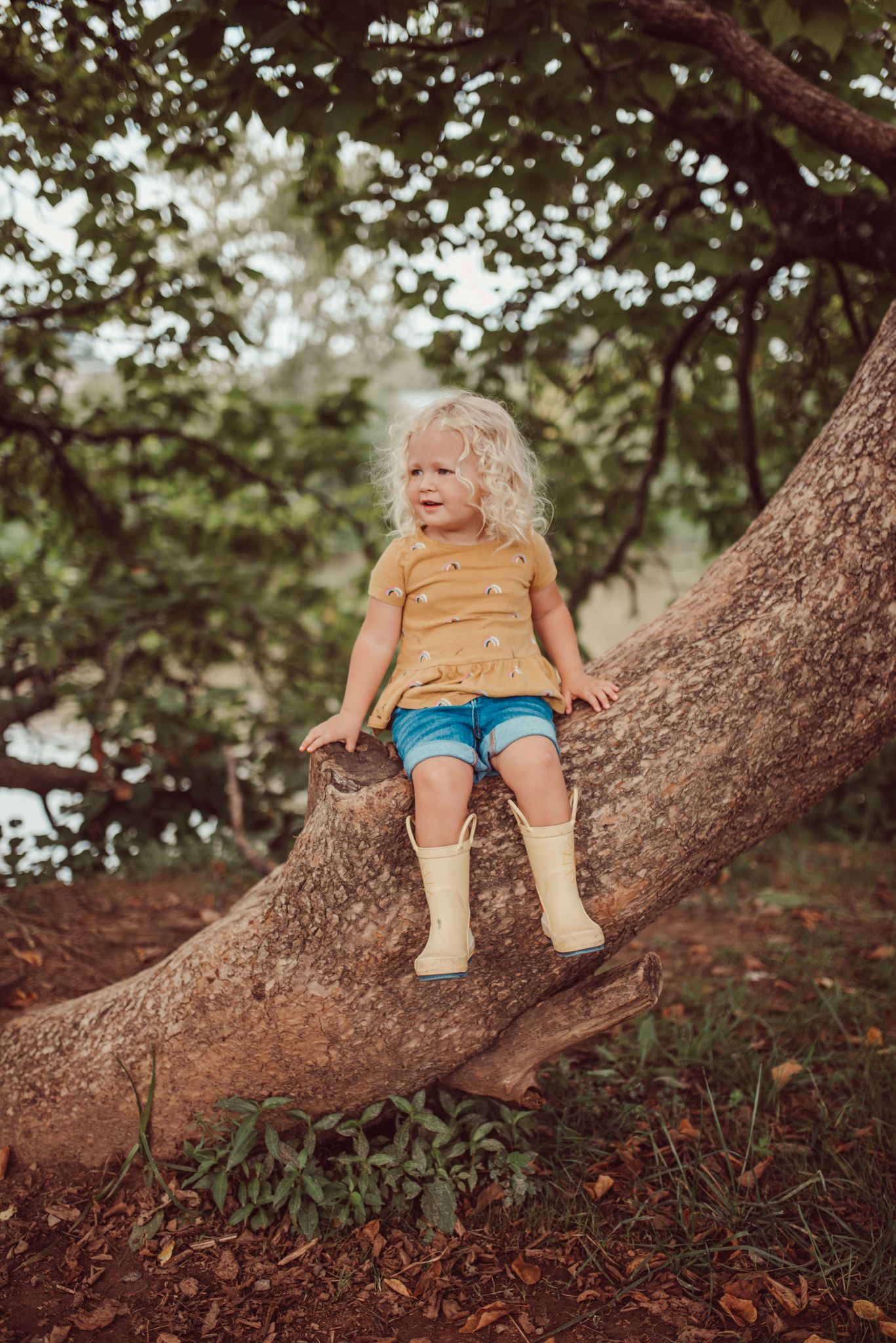 Mountain Family Photography Adventure Session | Asheville Family ...