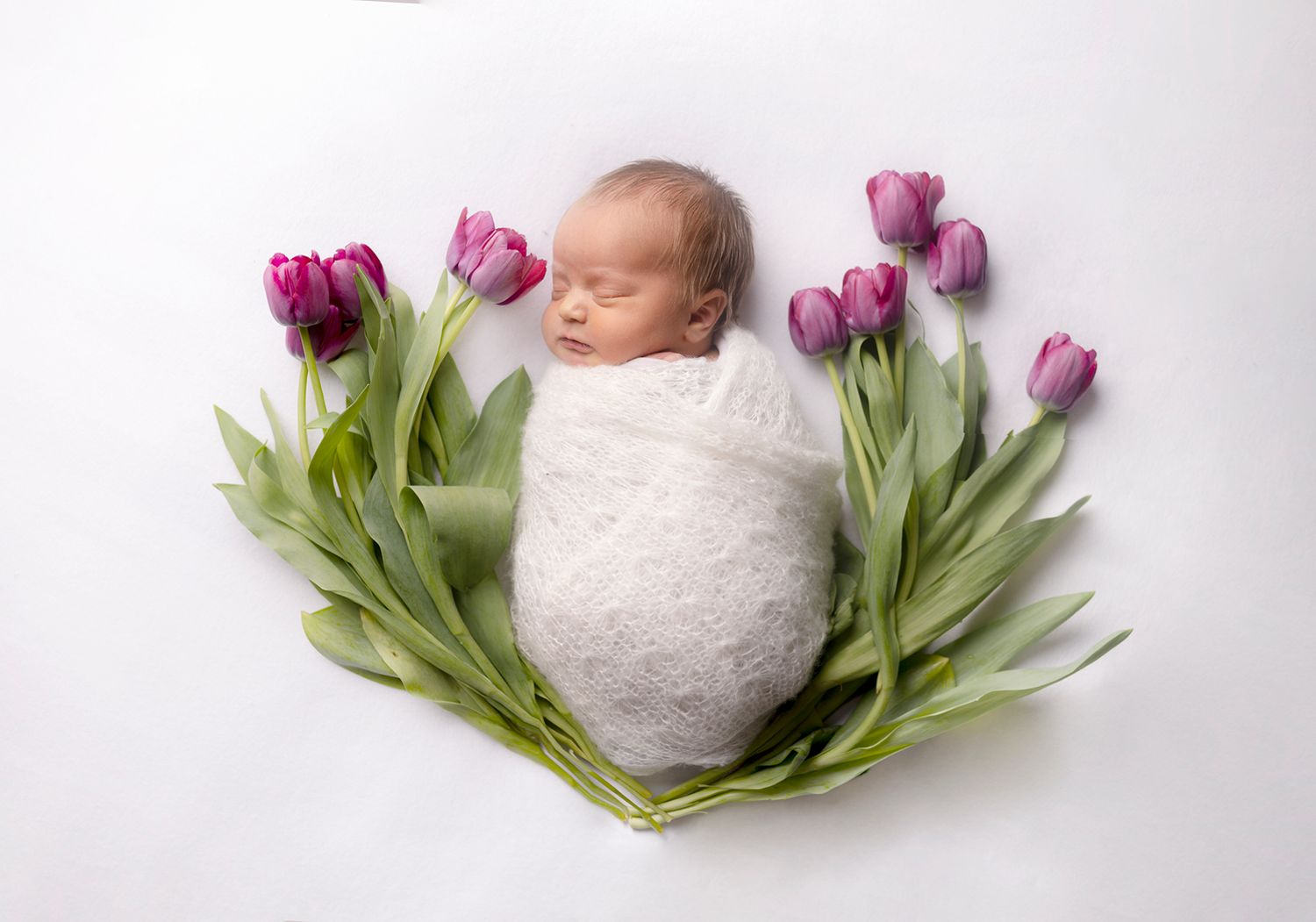 Sleeping newborn wrapped in white surrounded by purple tulips on white background.