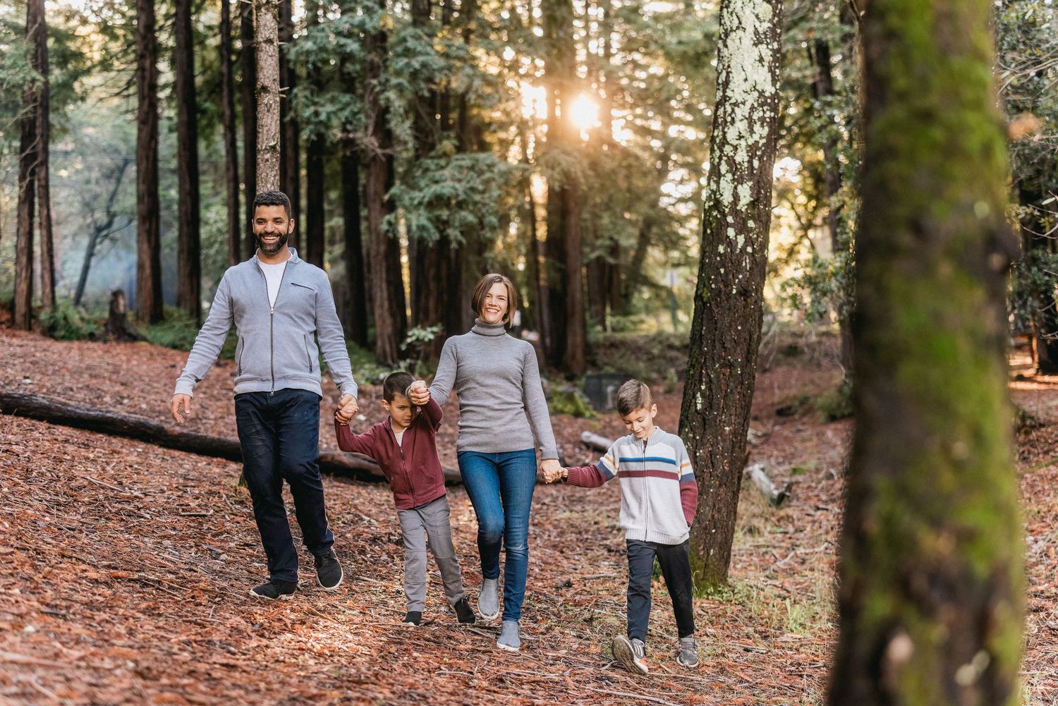 Family of four walking together on forest trail during golden hour sunset.