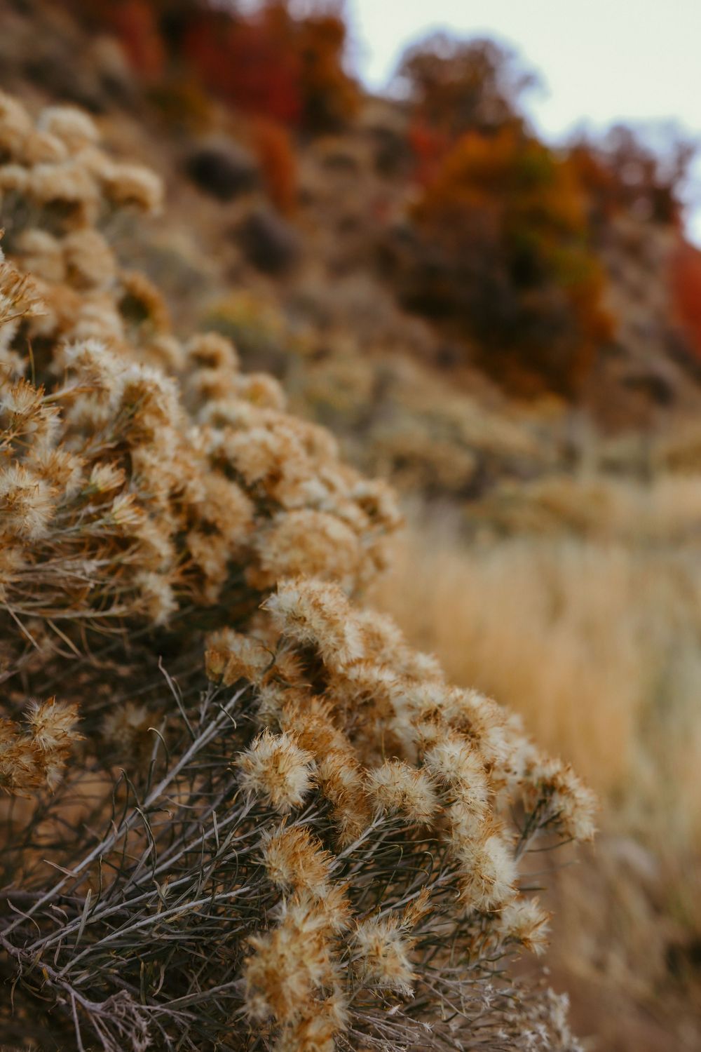 Best Outdoor Photography Locations in the Tooele, UT Area Madison