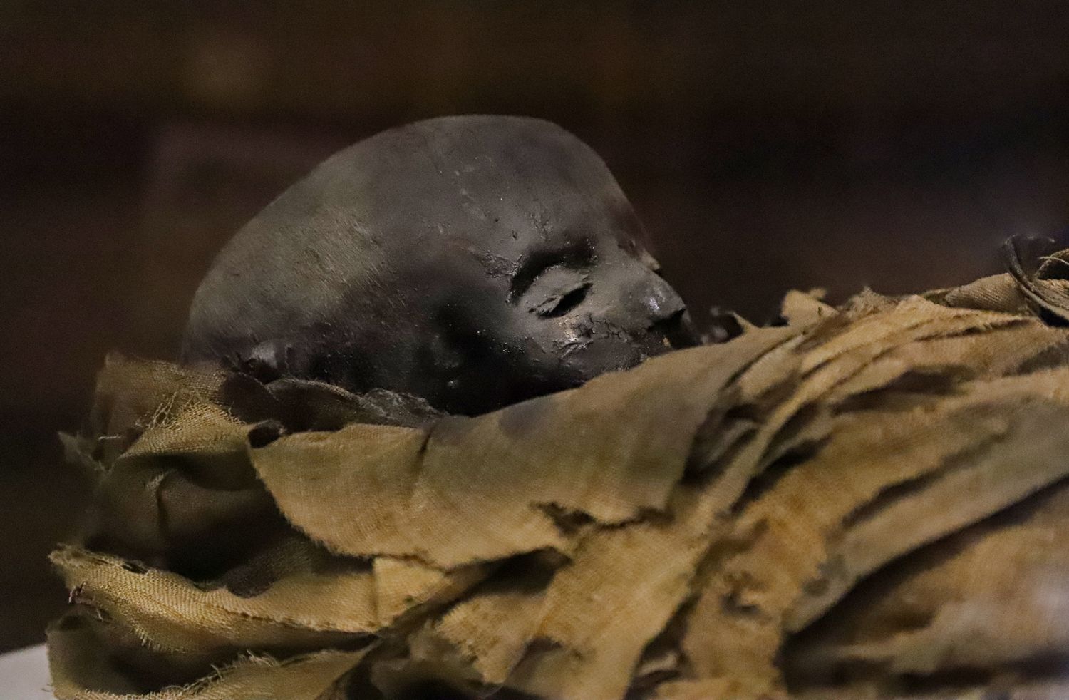 mummified child