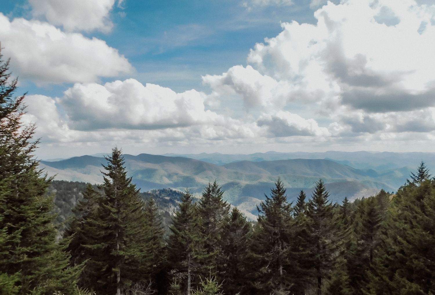 Evergreen forest overlooks misty mountain ranges under a dramatic cloudy blue sky.
