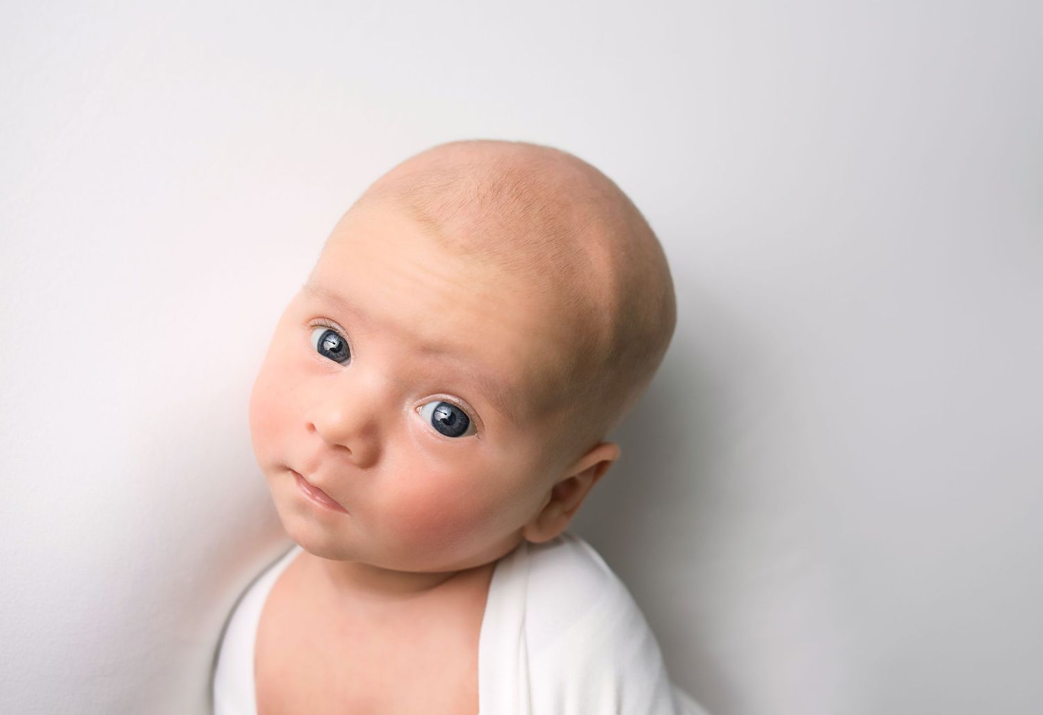Alert newborn baby with blue eyes wrapped in white swaddle looks up in studio portrait photo.