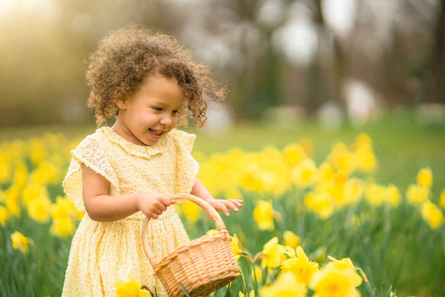 Adorable girl in a daffodil photoshoot, beaming with joy as she holds a basket filled with vibrant blooms