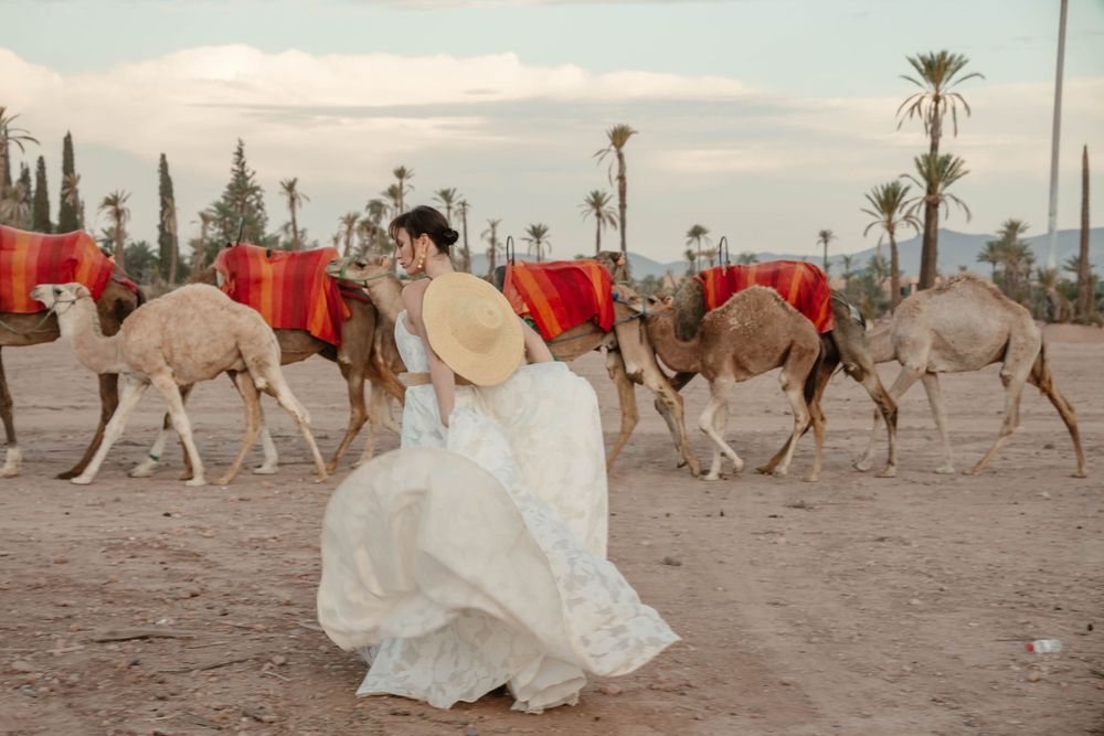 The Ultimate Guide to Getting Married in Marrakech Morocco Zara Davis