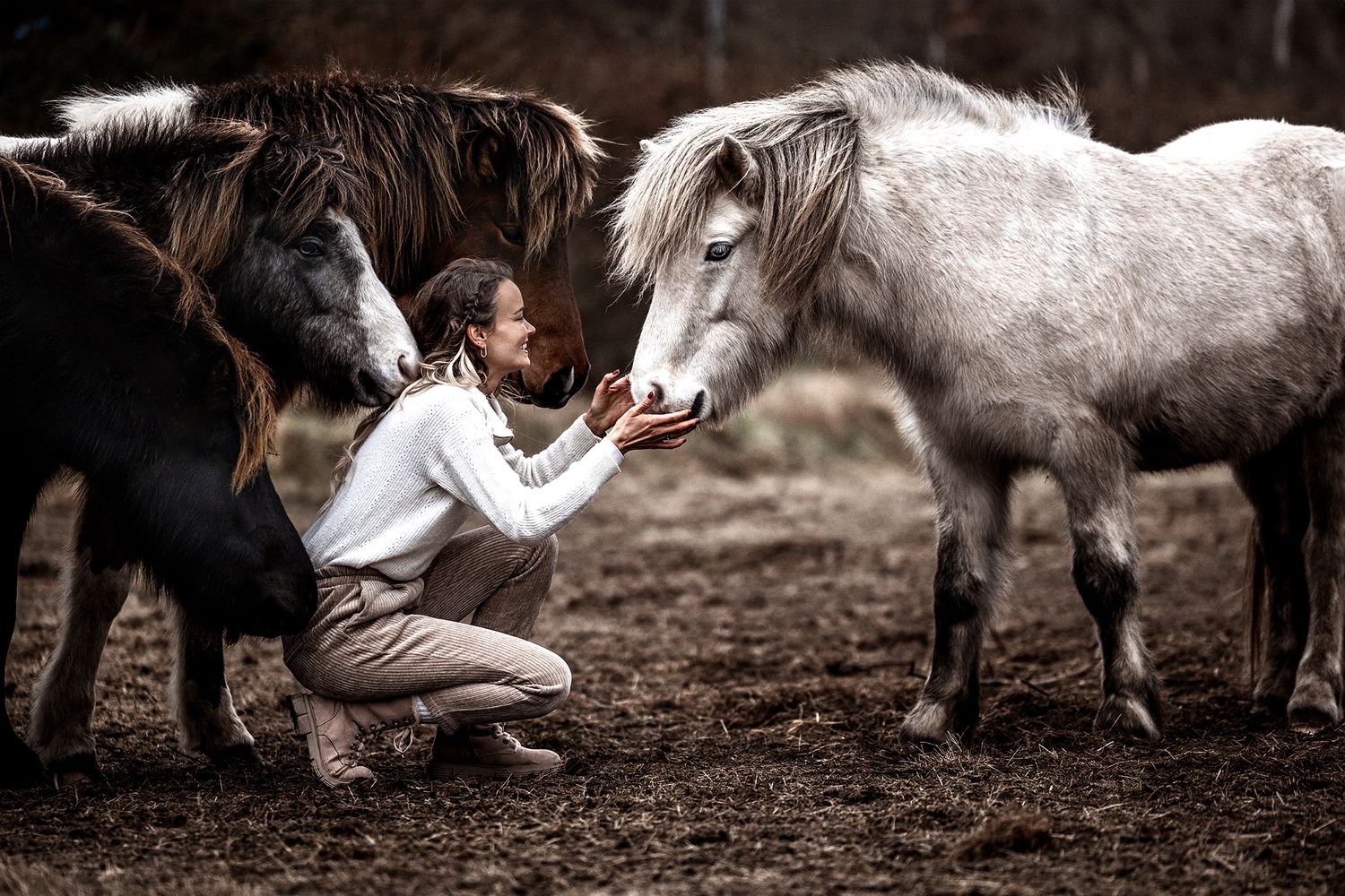 Three horses interacting with someone in a natural outdoor setting.
