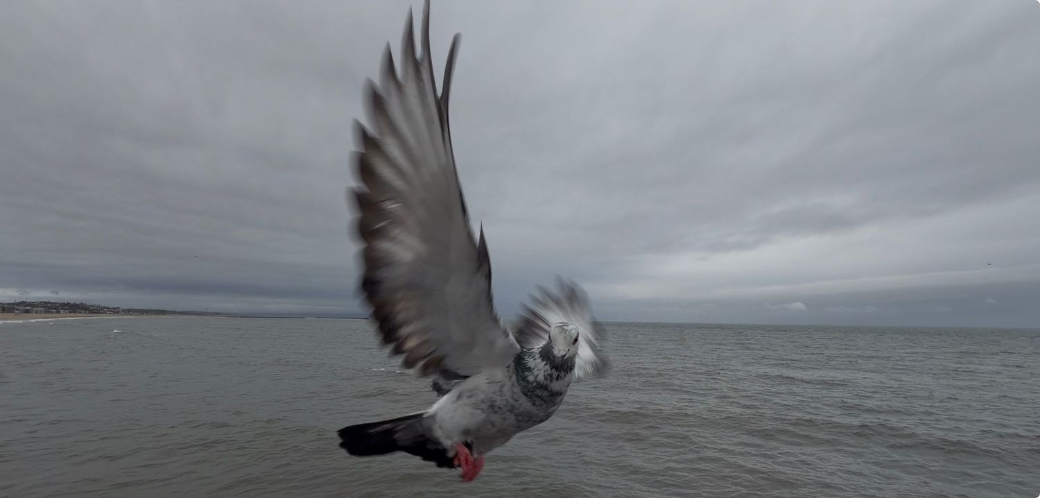 A seagull spreads its wings while flying over a stormy ocean against a dramatic cloudy sky.