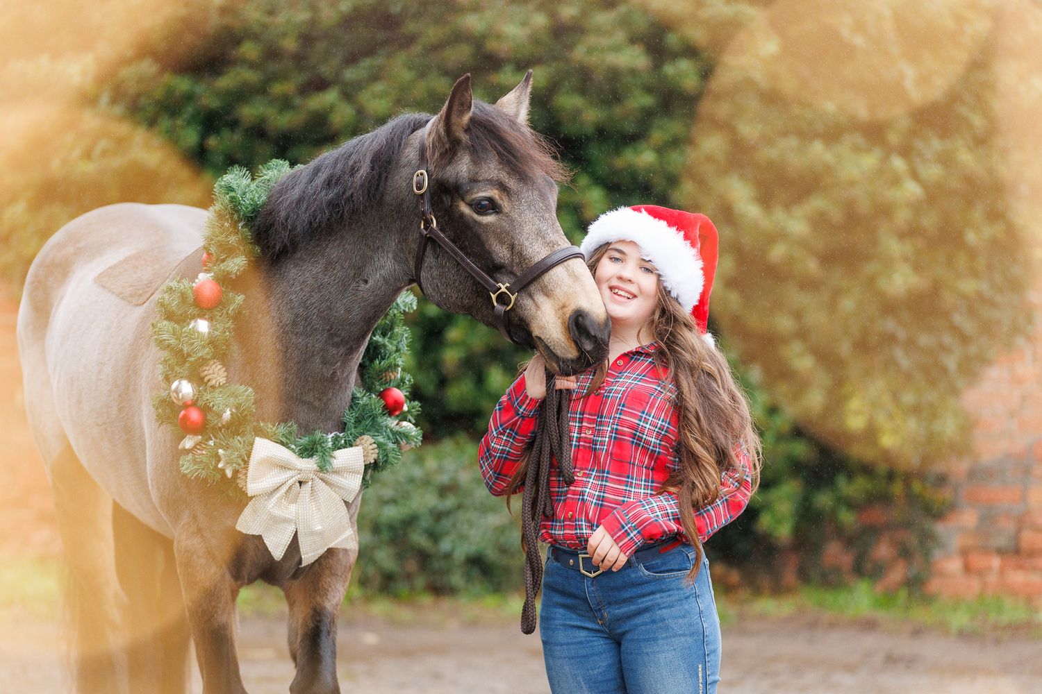 A person leads a palomino horse along a sunlit forest trail surrounded by tall evergreen trees.