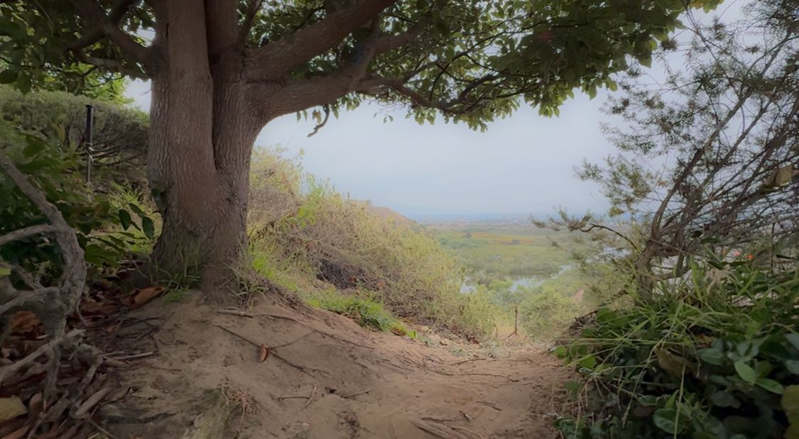 A narrow dirt hiking trail winds along a steep coastal cliffside overlooking the ocean.