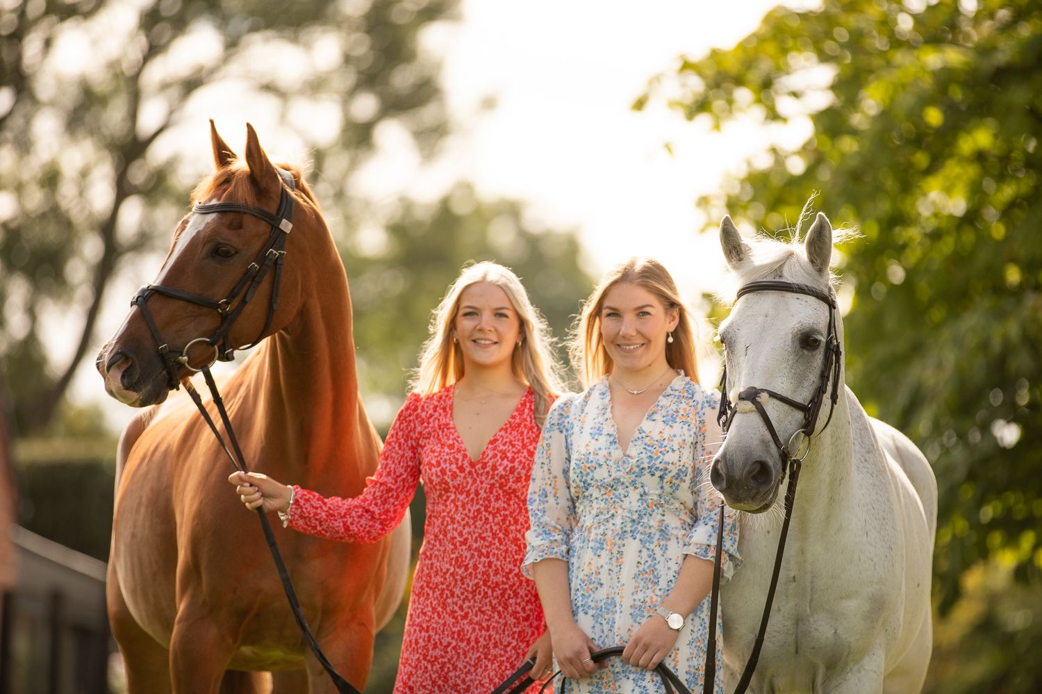 A chestnut and white horse stand together with their handlers in golden evening light.