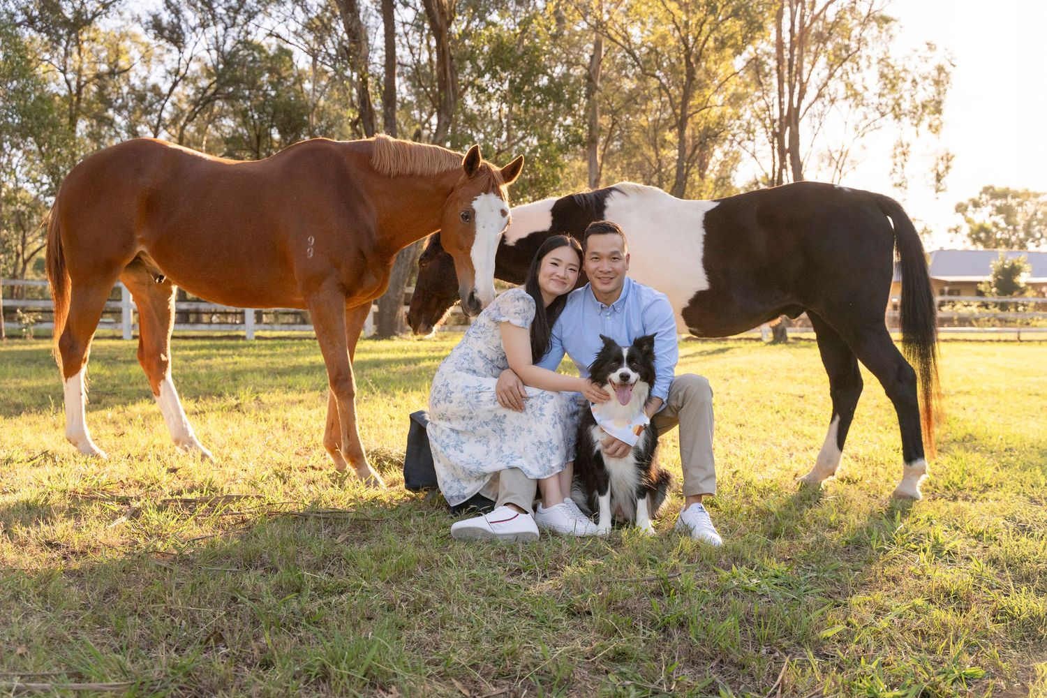 couple sitting on a small stool with their boarder collie during a photoshoot with horses in Sydney near Gables