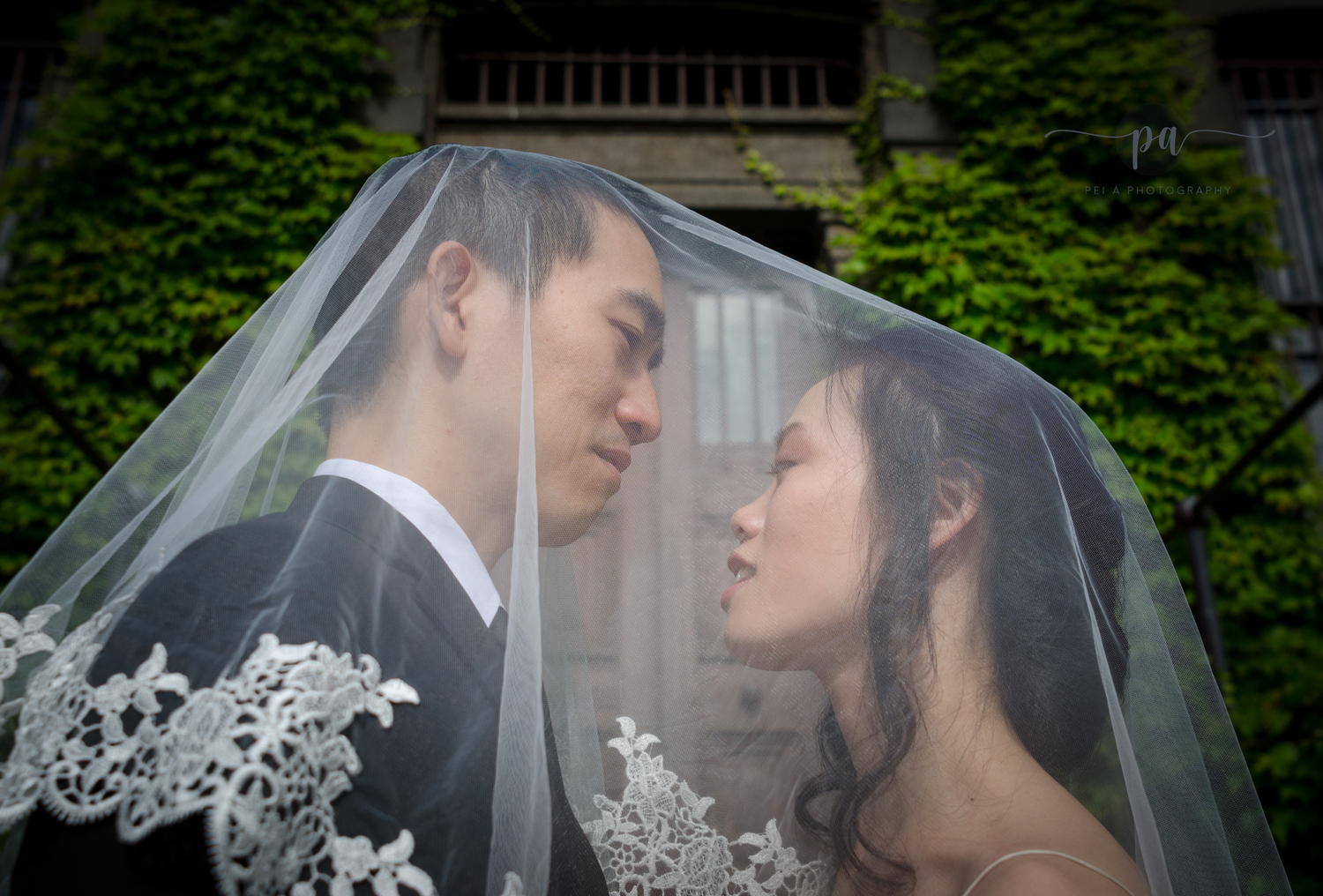 Romantic wedding portrait beneath a delicate lace veil with ivy-covered walls in the background.