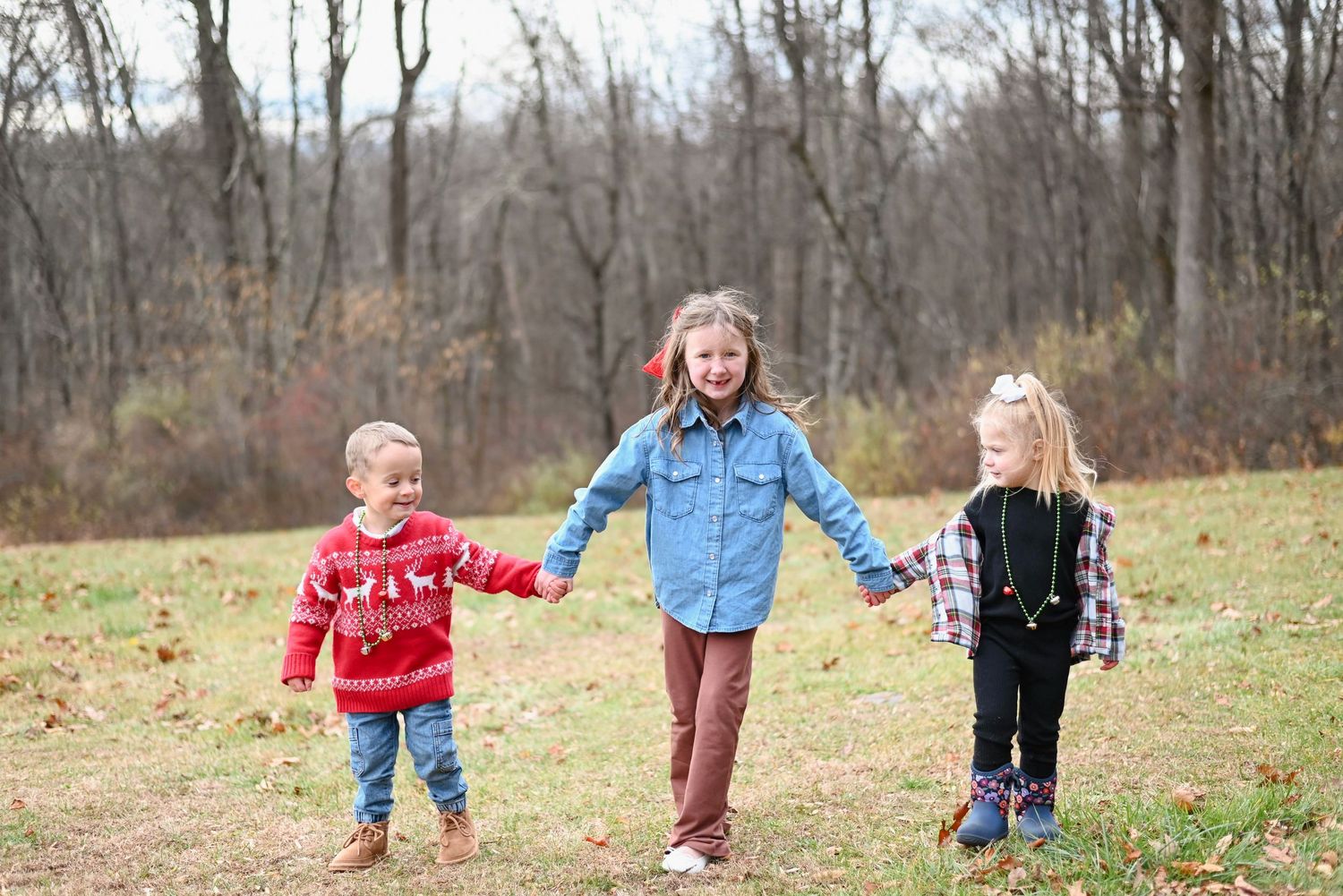 A series of candid photos showing people walking and playing together in a natural outdoor setting during autumn.