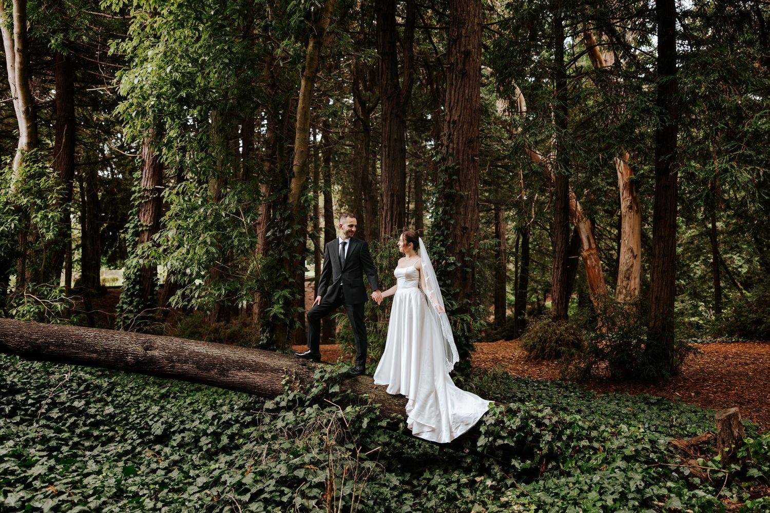 authentic san francisco bay area redwoods elopement photographer in golden gate park