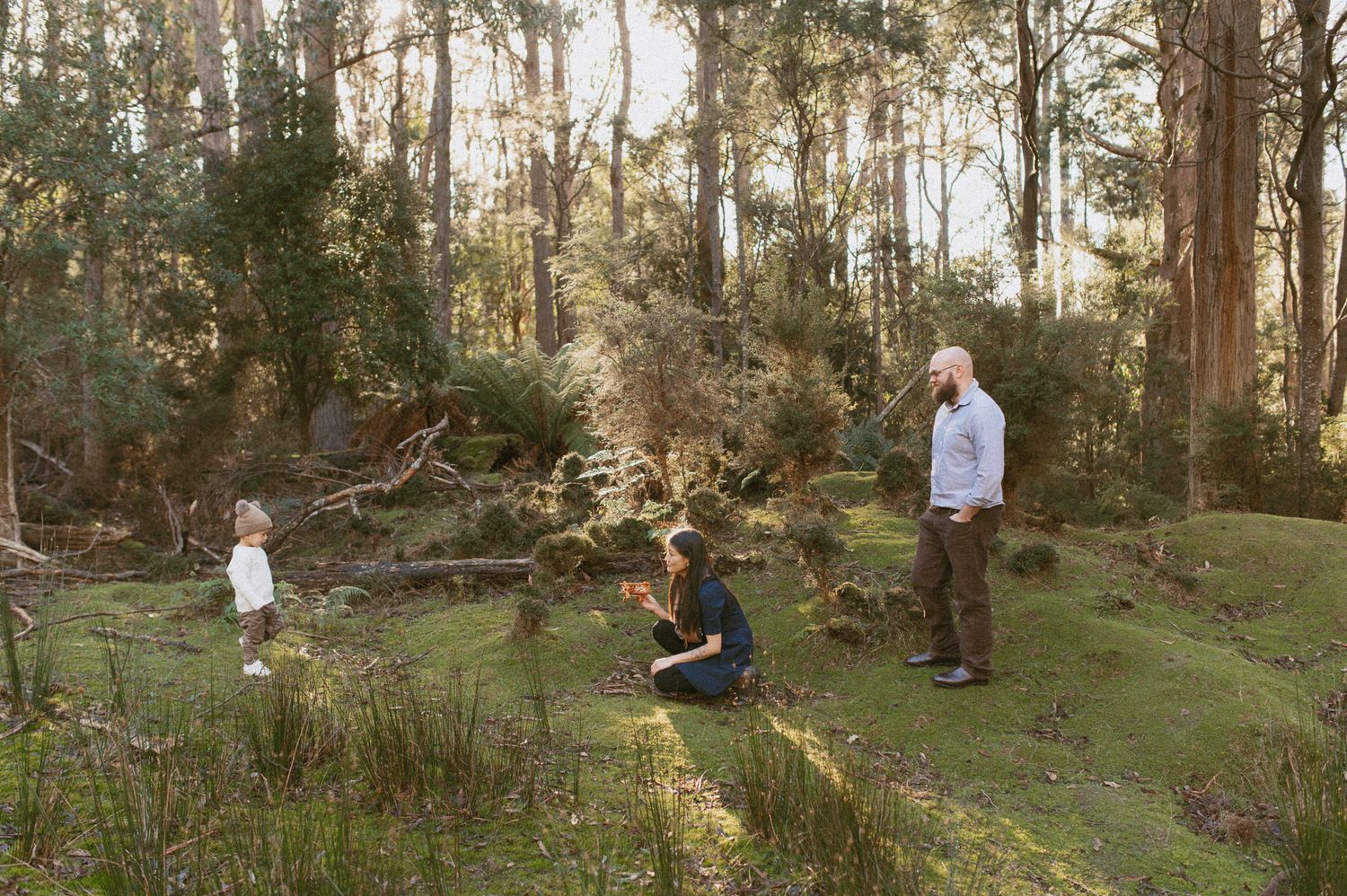 family session captured by Joss Jensen photography on Kunanyi, Mount Wellington in Tasmania. Inspired by Twilight, the forest and green moss