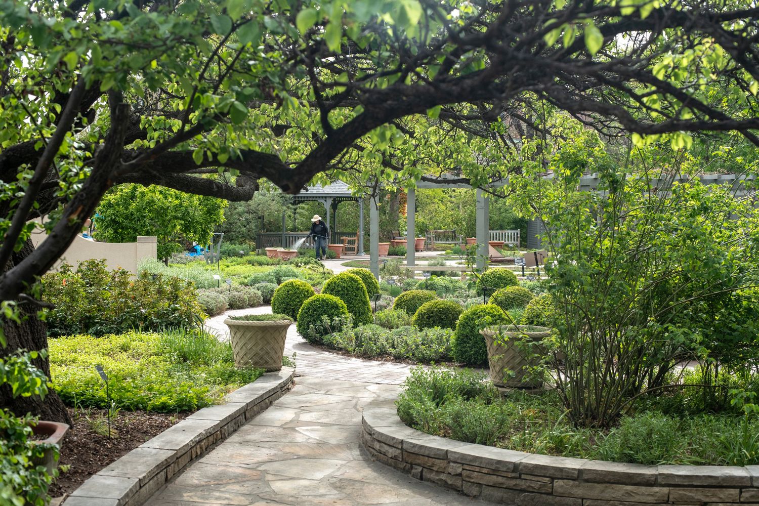 Lush garden pathway with stone retaining walls, trimmed boxwood shrubs, and overhanging tree branches in a formal landscape.