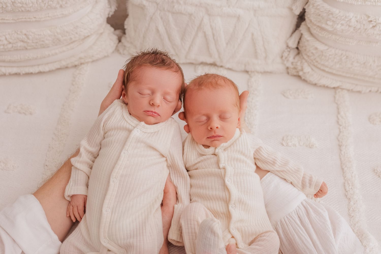 newborn twin photography in Wellington and Porirua