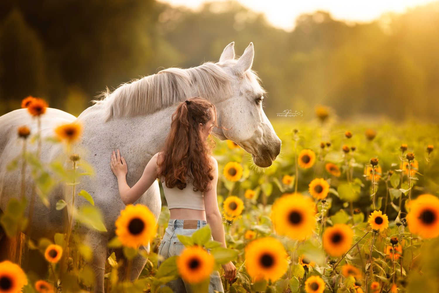 Paard in zandgebied met model tijdens een fotoshoot door paardenfotograaf